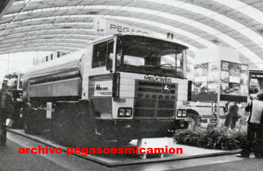 PEGASOESMICAMION HOLANDA1